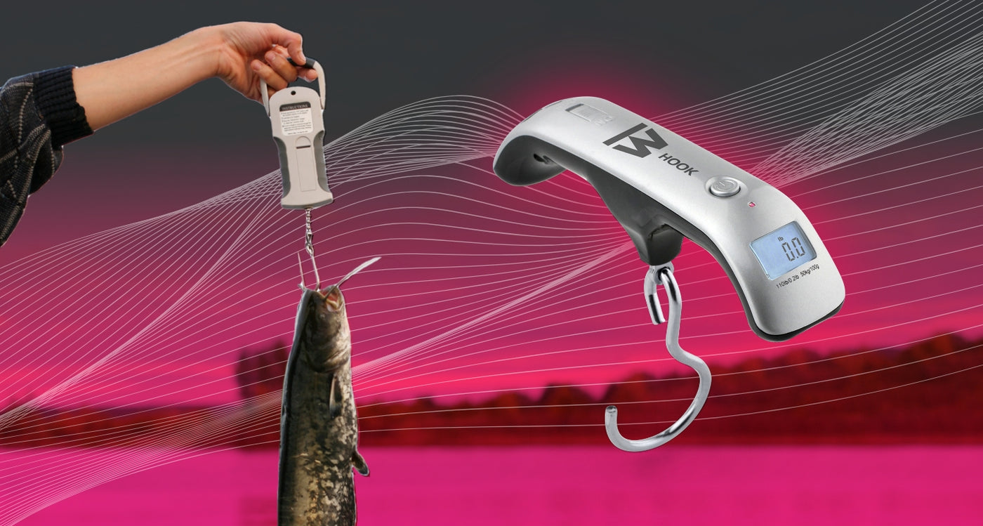 Best Digital Scale for Ice Fishing